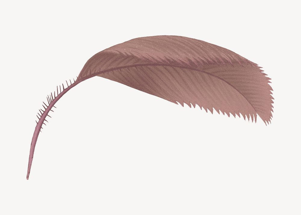 Brown palm leaf illustration