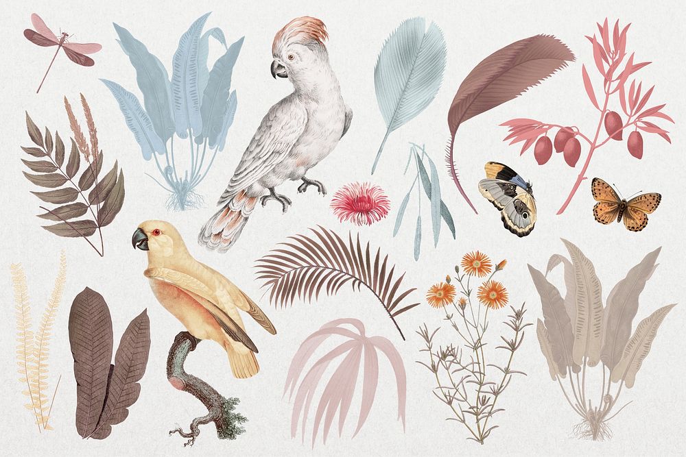 Exotic birds vintage collage elements set psd