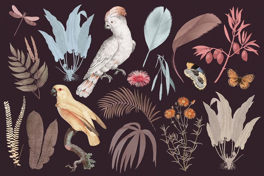 Exotic birds vintage collage elements set psd