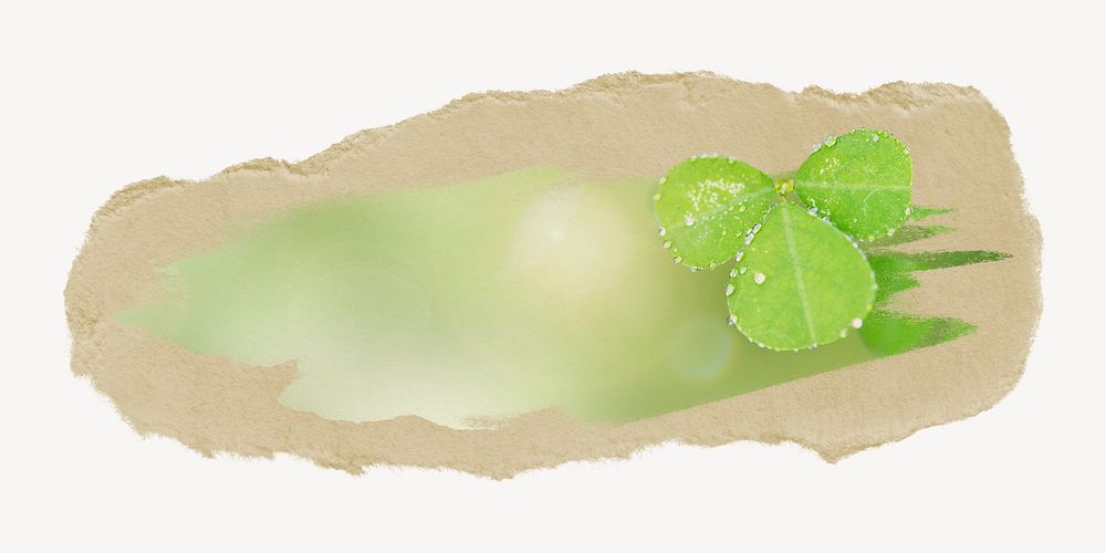 Green leaves with water drops collage element psd