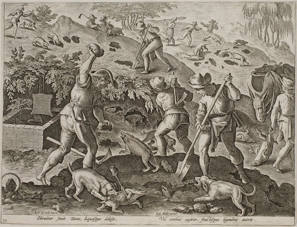 Badger hunt by Jan Van Der Straet