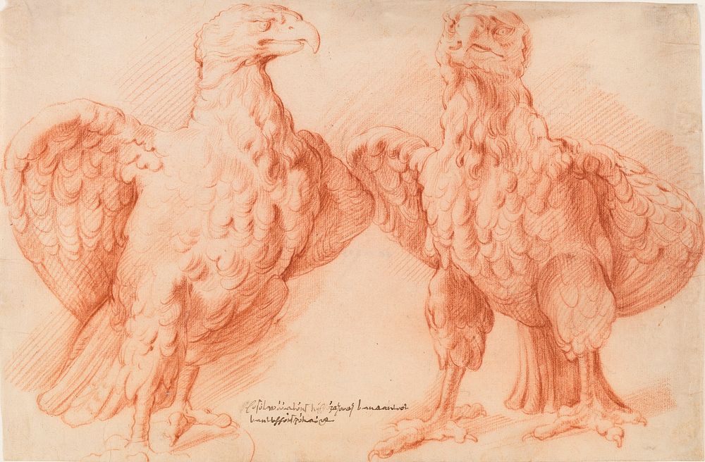 Eagle.Two studies of an antique sculpture;front view half turned to the right, and front view half turned to the left