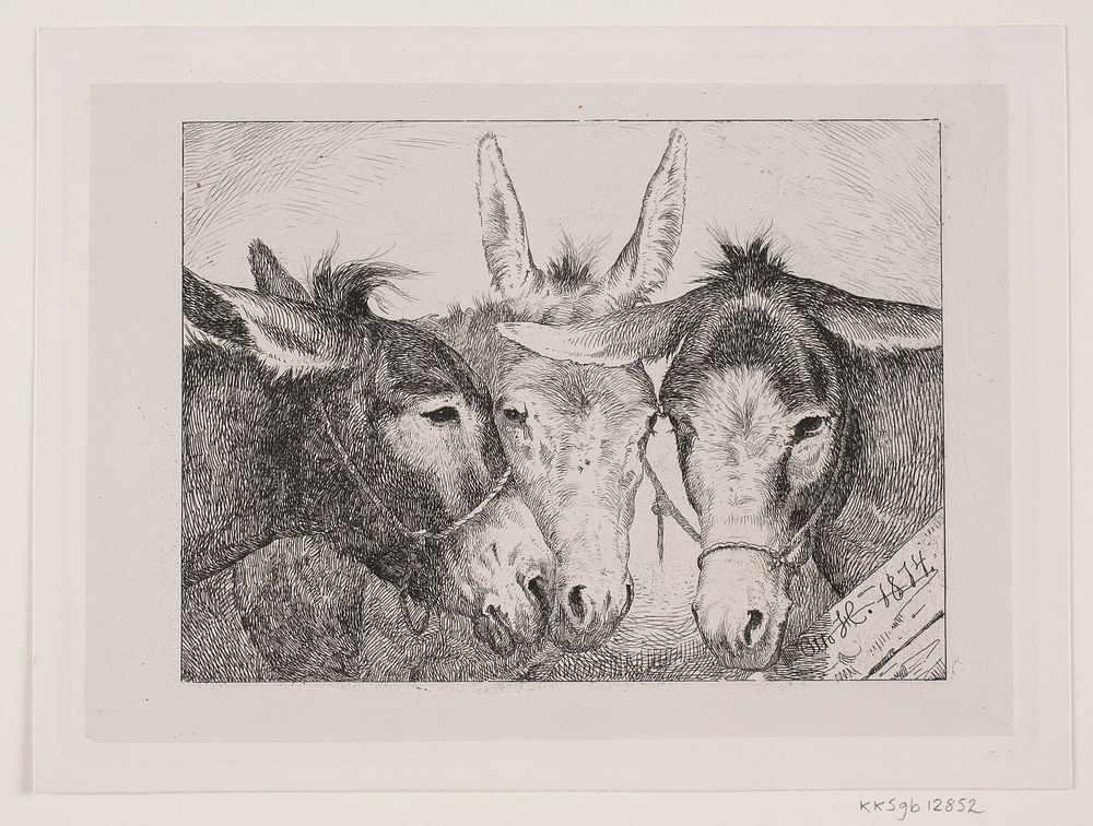 Three donkey heads by Den Danske Radeerforening