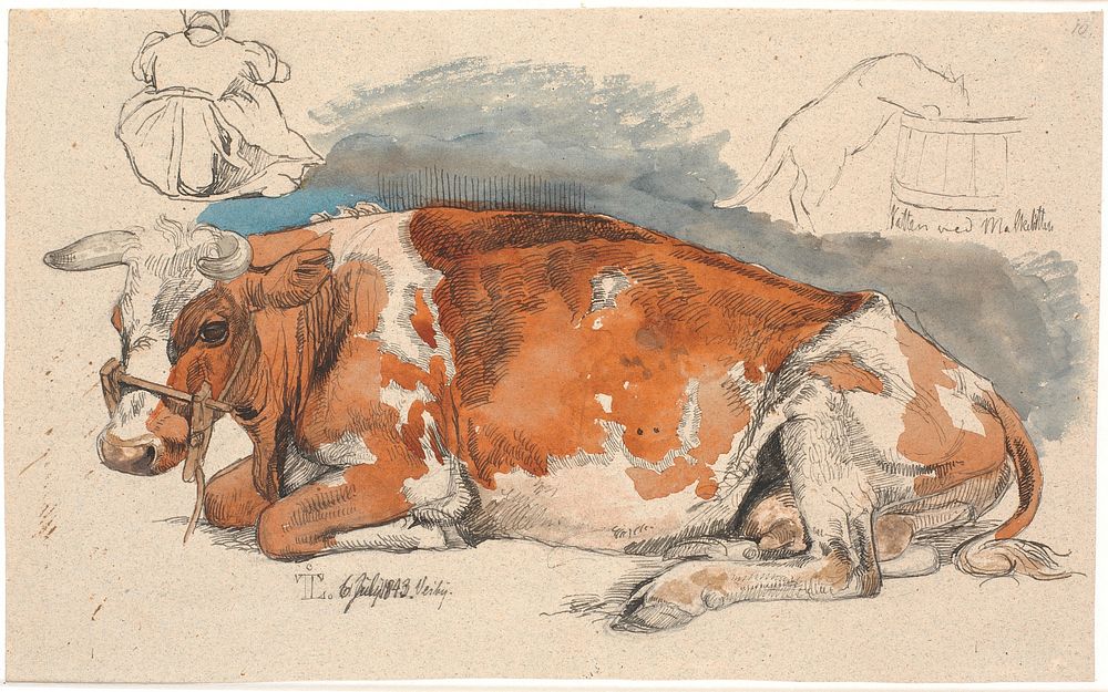 Lying cow.Above left, a seated peasant girl, t.h.a cat drinking from a dandelion by Johan Thomas Lundbye