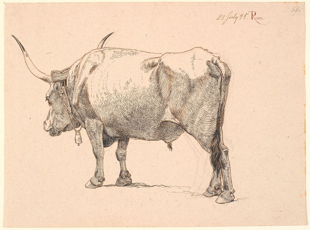 Roman bull with a bell around its neck, seen obliquely from behind by Johan Thomas Lundbye