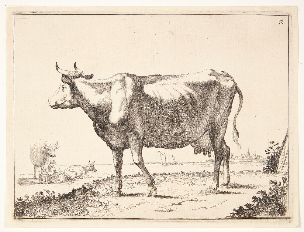 Dairy cow by Paulus Potter