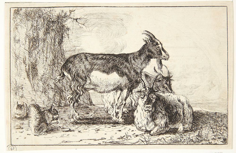 Goats by Jan Van Den Hecke I