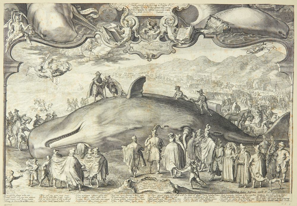 Beached whale near Beverwijk attended by Prince Ernst of Nassau, Jan Saenredam