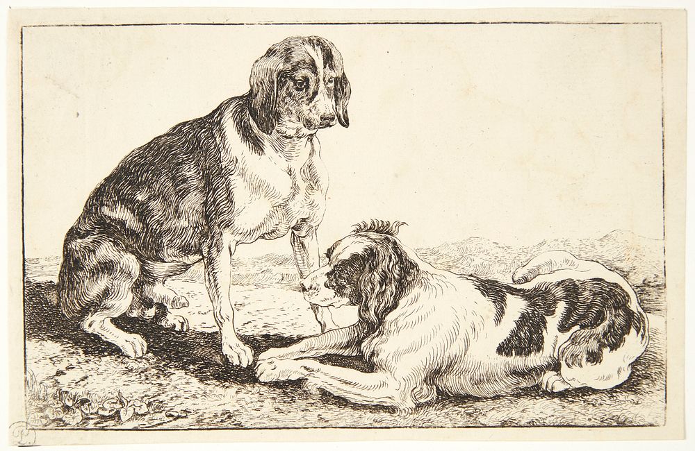 Two lying dogs by Jan Van Den Hecke I