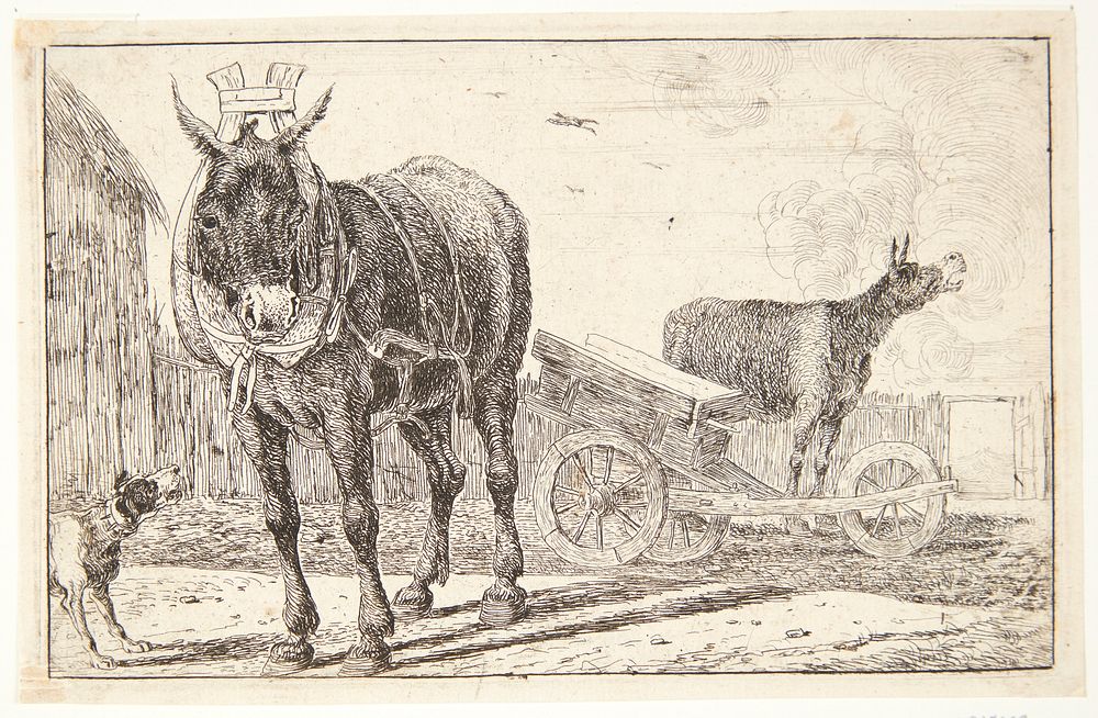 Two donkeys by Jan Van Den Hecke I