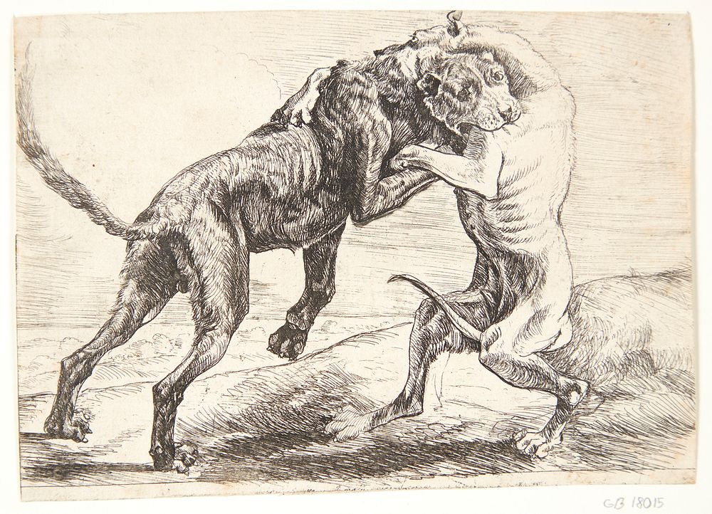 Two dogs fighting by Paulus Van Hillegaert II