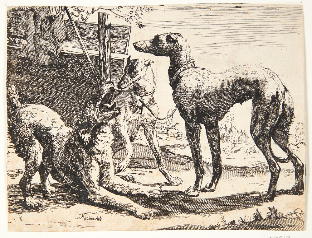 Three dogs by Paulus Van Hillegaert II