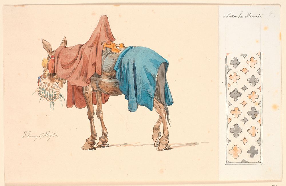 A mule in the process of eating its green fodder.On the right, on the attached paper, a decorative border by Johan Thomas…