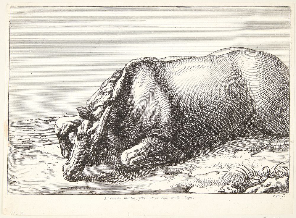 Fallen horse by Jan Van Huchtenburg