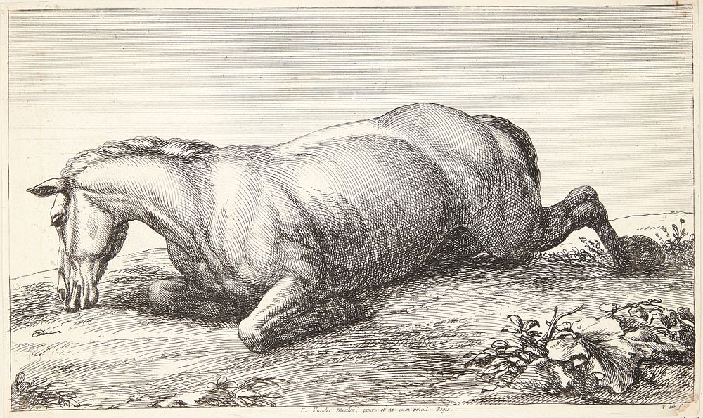 Fallen horse, facing left by Jan Van Huchtenburg