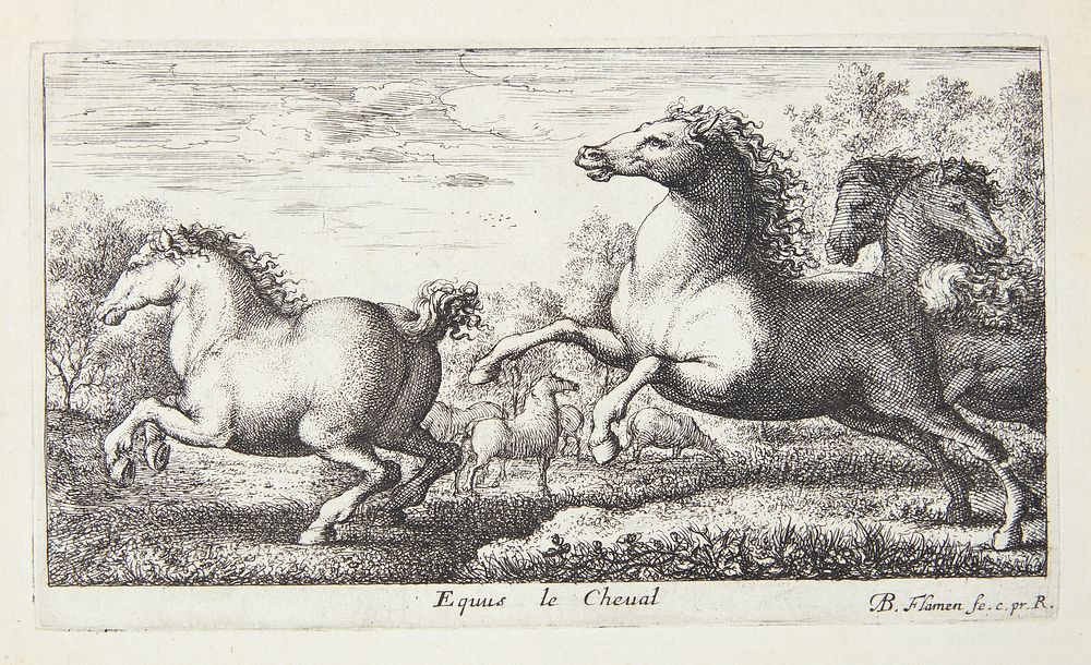 Horses by Albert Flamen