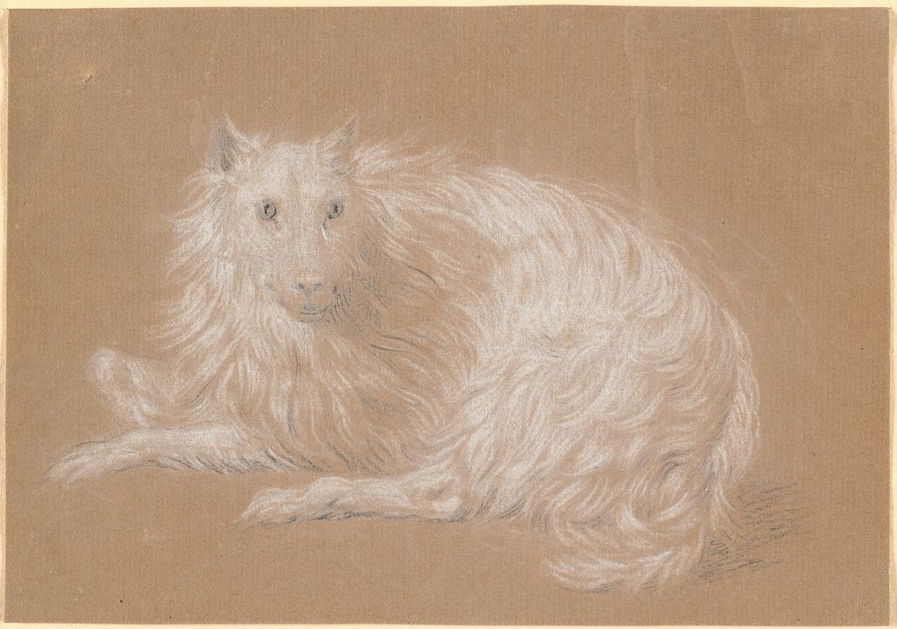 A long-haired dog lying down by Nicolai Abildgaard