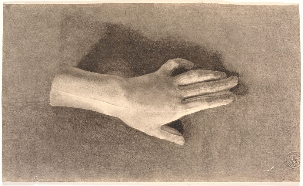 Study of plaster hand