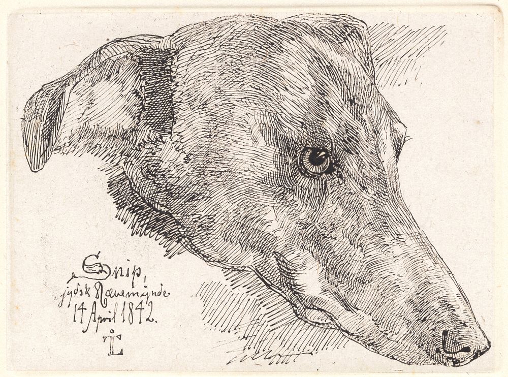 Dog head, Snip by Johan Thomas Lundbye