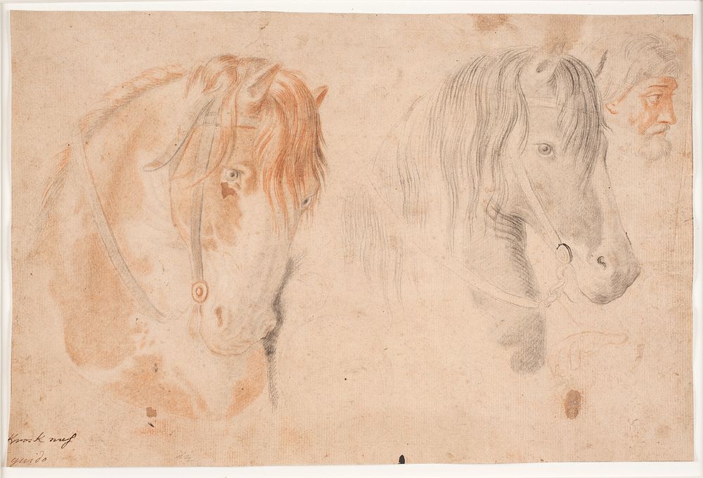 Two horse heads and a man's head by Hendrik Krock