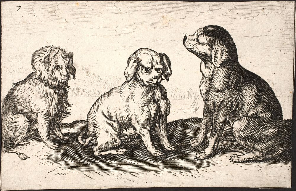 Three small dogs by Jacob Matham