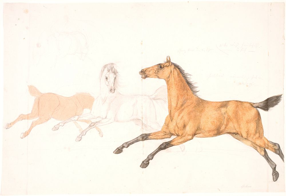 3 running horses by Christian David Gebauer