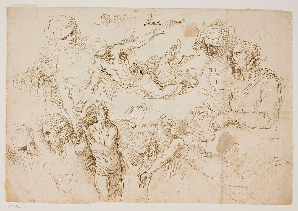 Sheet of figure studies by Jacopo Palma Il Giovane