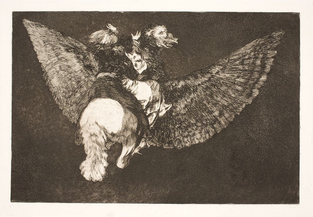 The Flying Folly (Give up the friend who hides you under his wings and bites you with his beak) by Francisco Goya