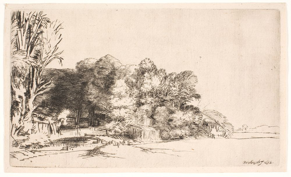 Landscape with group of trees by Rembrandt van Rijn