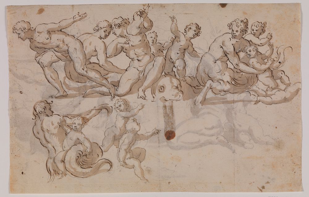Seahorses, tritons, and putti riding on dolphins by Giuseppe Alabardi
