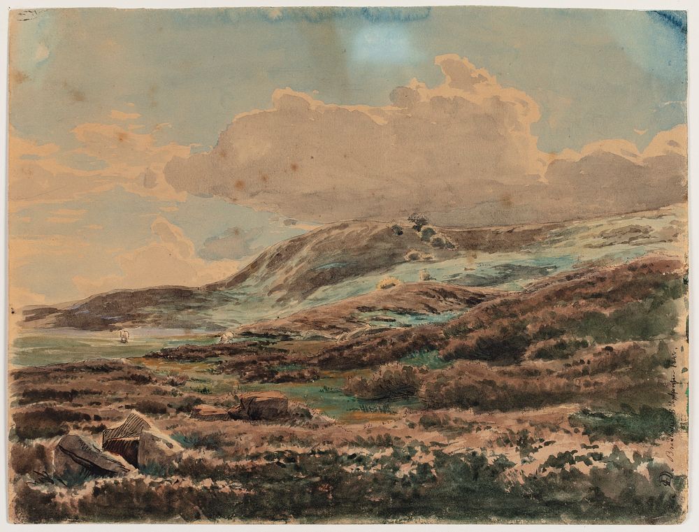 Landscape with heather-clad hills by Carlo Dalgas