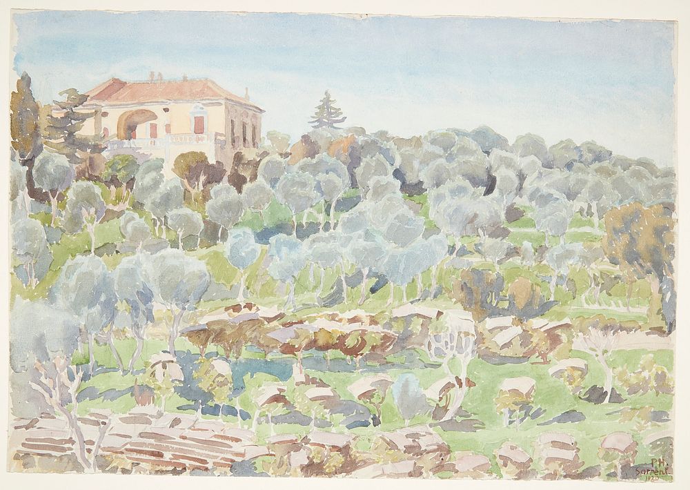 Mountainside with olive trees and a villa by Peter Hansen