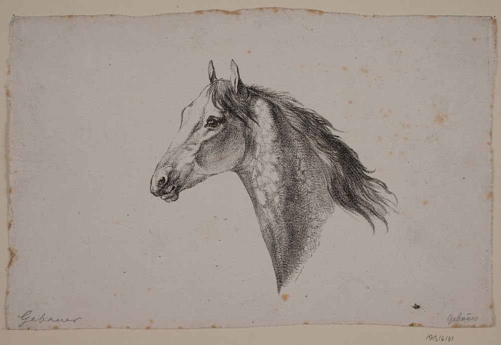 Rodeo horse sketch, part 4 | So much to do, so little time