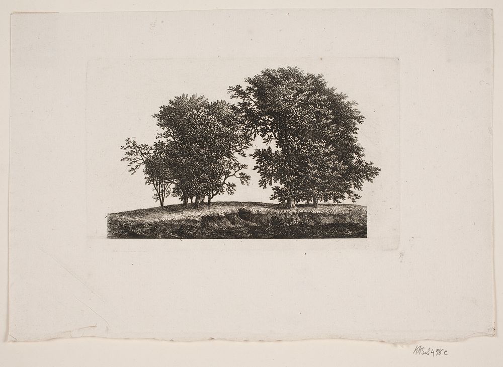 Plain with trees by S&oslash;ren Henrik Petersen