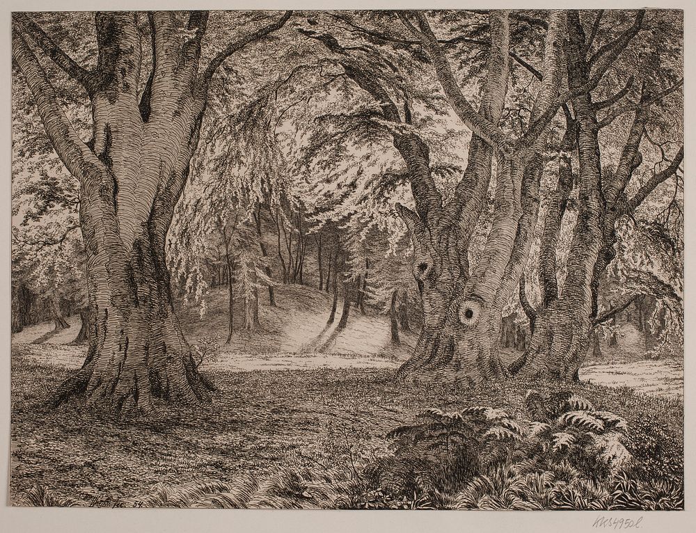 The interior of a forest by Vilhelm Kyhn