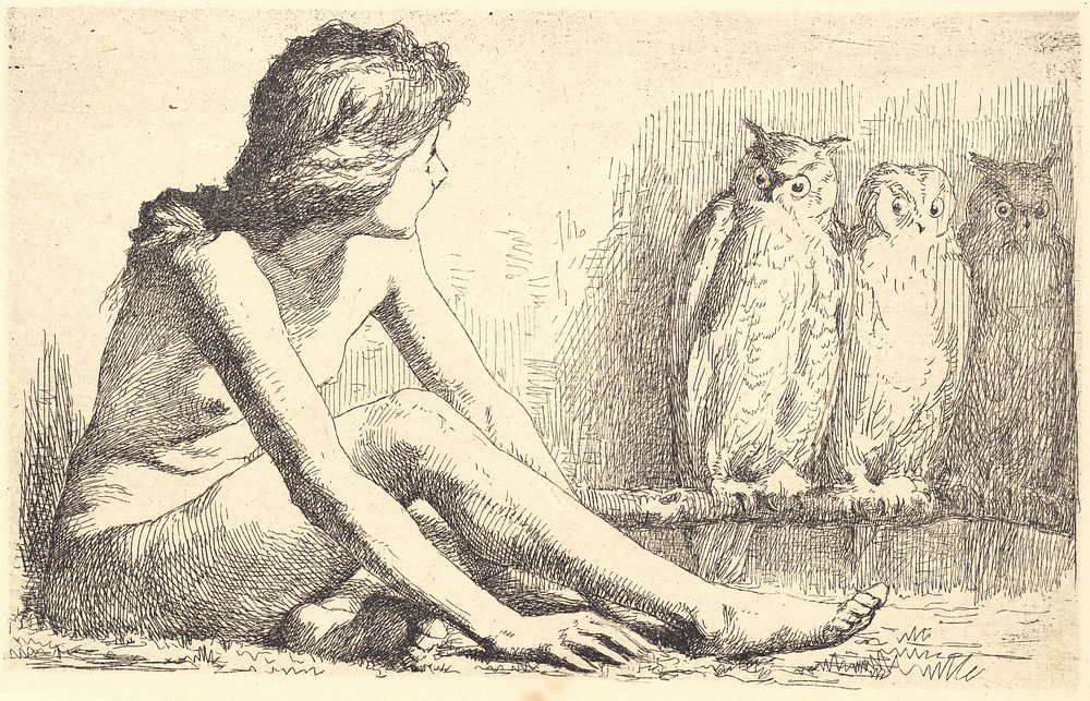 The girl with the owls by Frans Schwartz