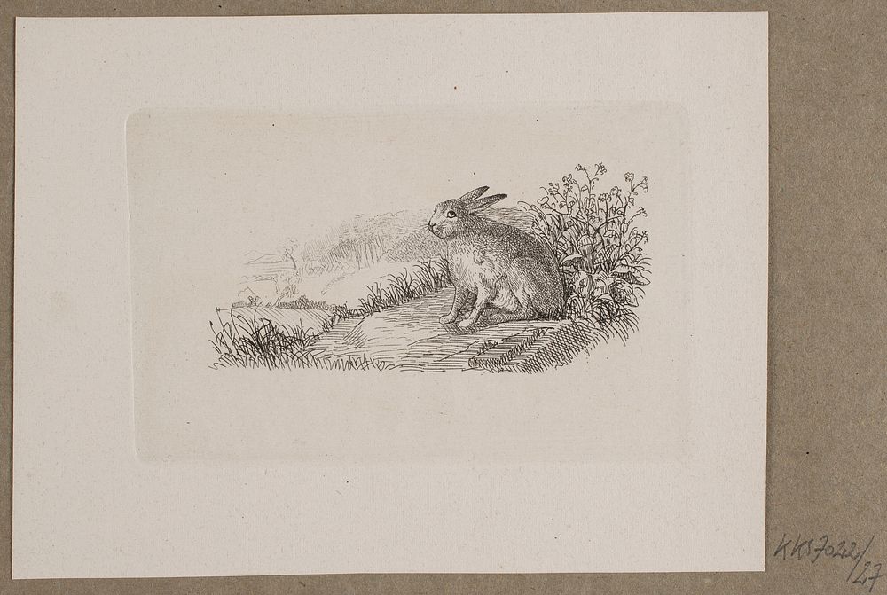 Illustration for O. Specter, "Fables for Children" by Vilhelm Kyhn