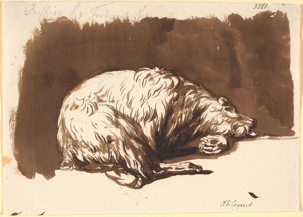 A lying bear by Nicolai Abildgaard