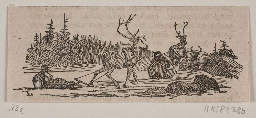 Sleigh ride with reindeer  by Hans Christian Henneberg