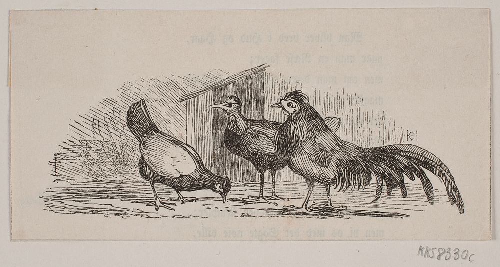 Three chickens  by Hans Christian Henneberg