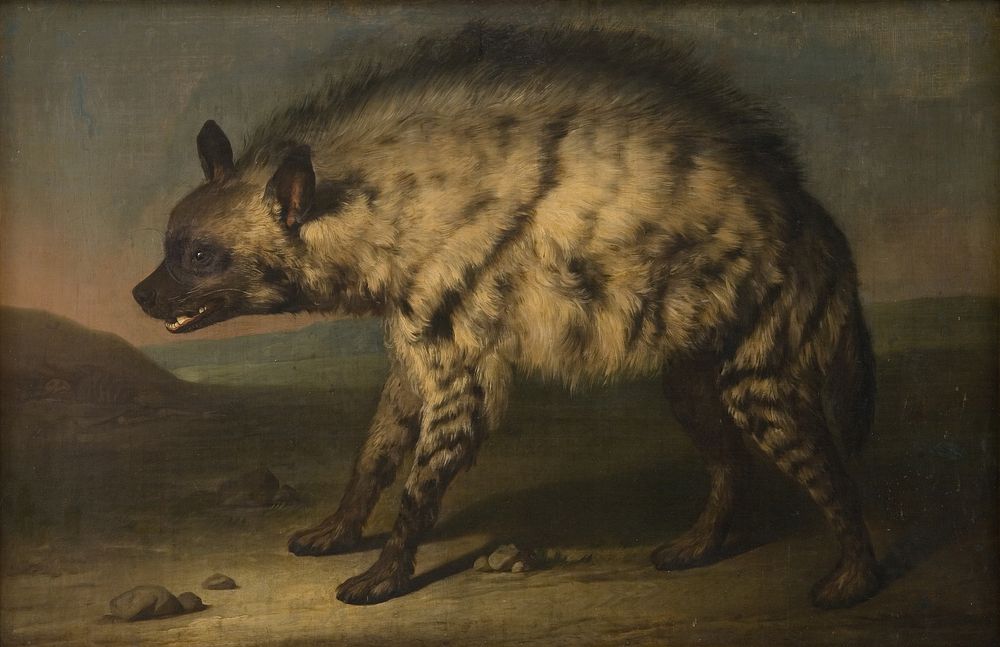 The hyena in the menagerie at Frederiksberg Castle by Jens Juel