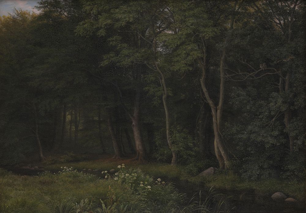 Beginning of evening twilight in a forest.Motif from Iselingen by P. C. Skovgaard