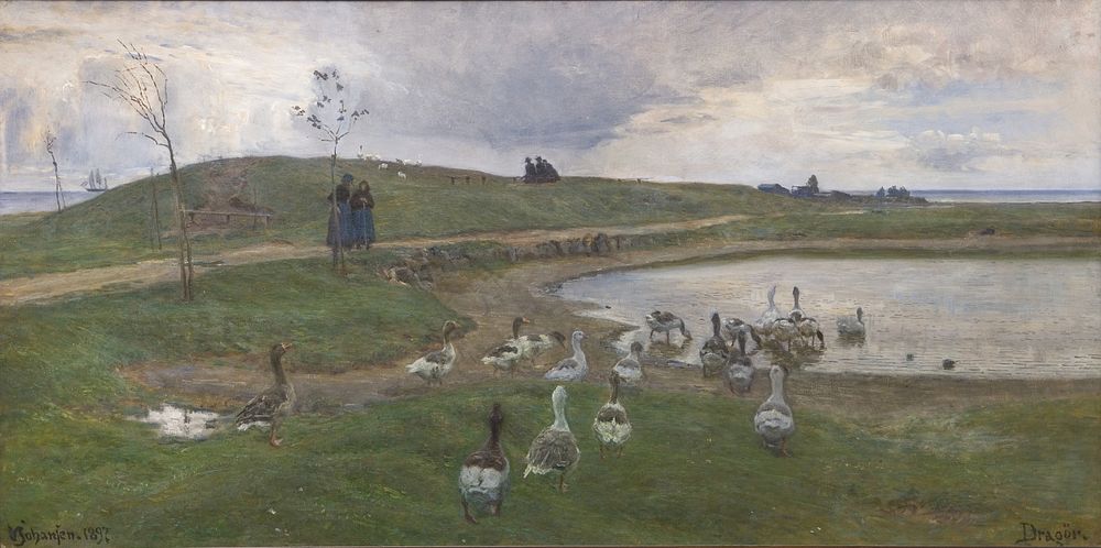 Geese by a lake.Against rough weather. Drag ear by Viggo Johansen