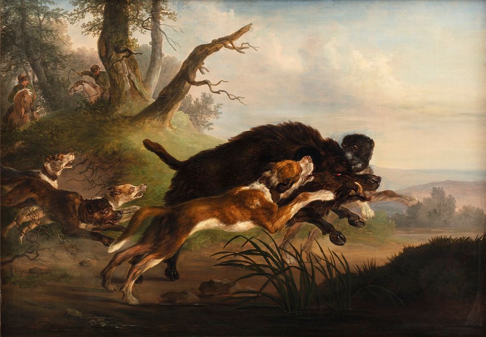 A wild boar hunt by Christian David Gebauer