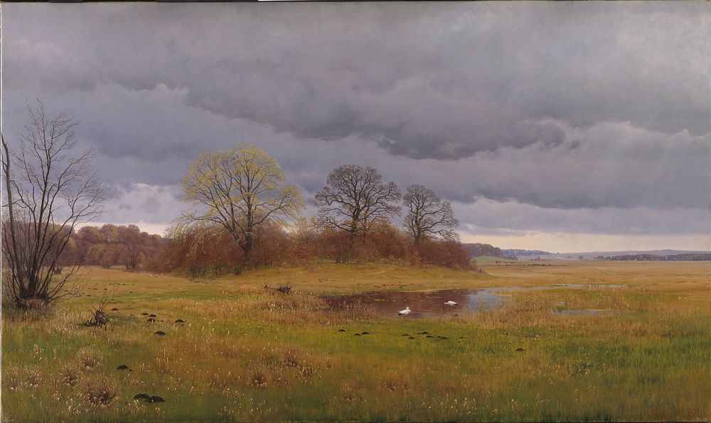 Spring landscape with rain showers. South Zealand by Hans Friis