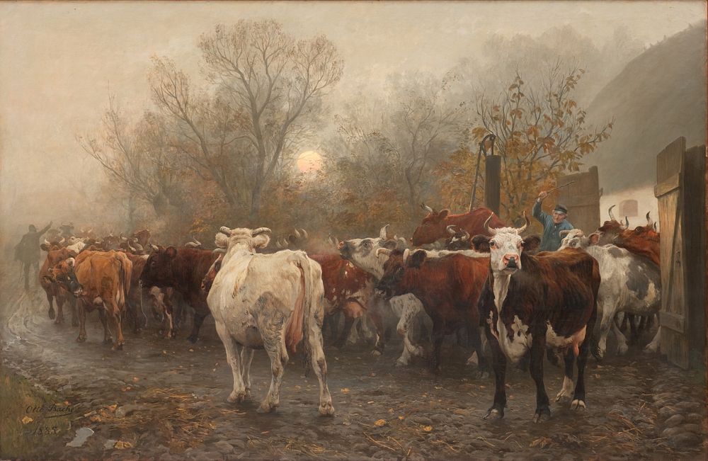 The cows are driven out of the barn by Otto Bache