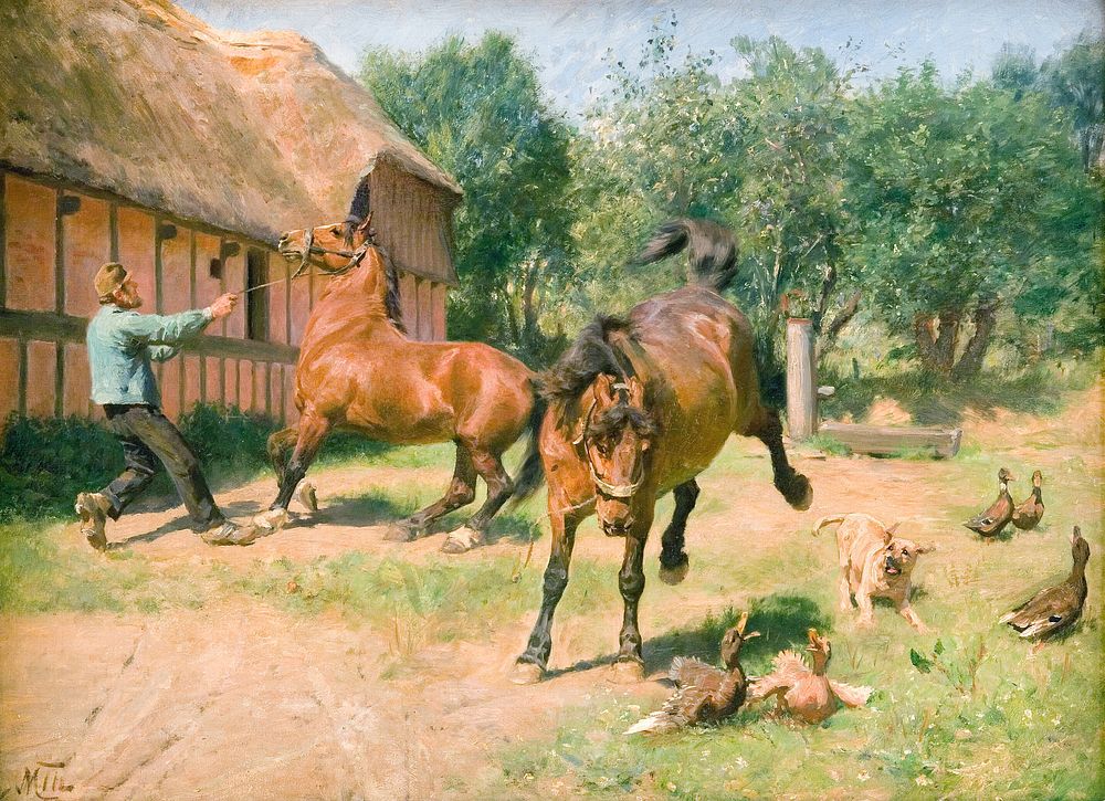 Happy horses by Hans Michael Therkildsen