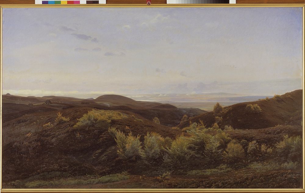Heath Hills at Rye by Harald Foss