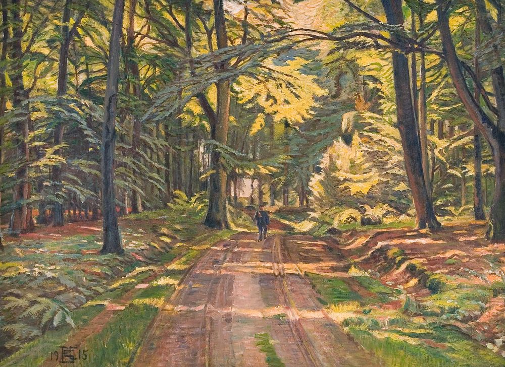 Forest road near Dyrnæs by Poul Simon Christiansen