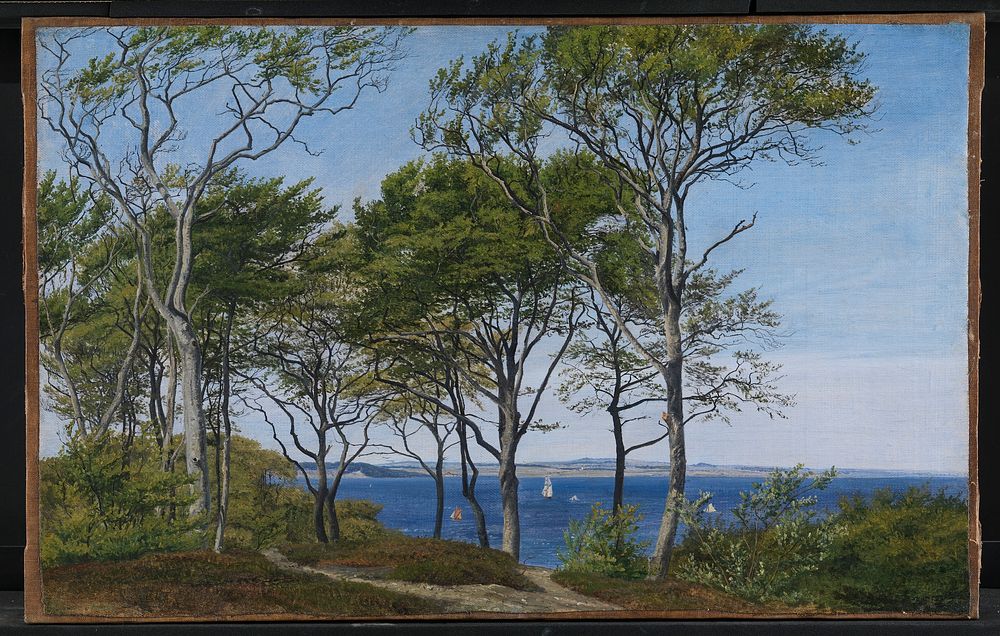 View between beech trunks over a fjord by P. C. Skovgaard